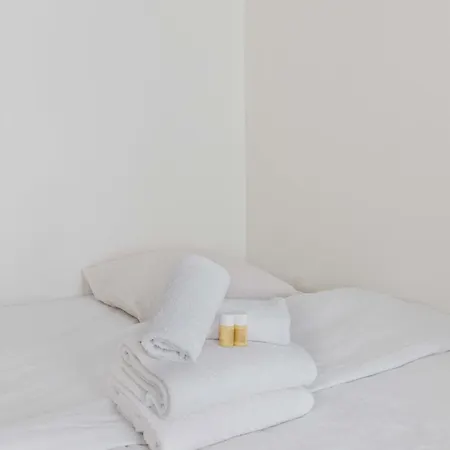 Grand Fonctionnel Republique - 10 - 2p Appartement *