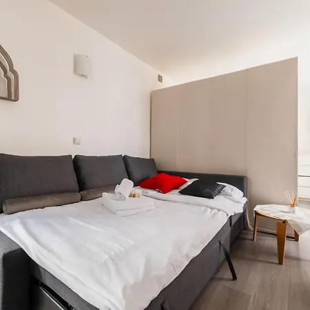 Appartement Grand Fonctionnel Republique - 10 - 2p